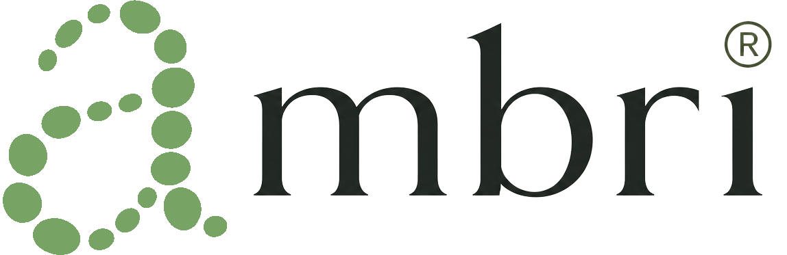 logo magazin online ambri - magazin bijuterii terapeutice pentru minte corp si suflet
